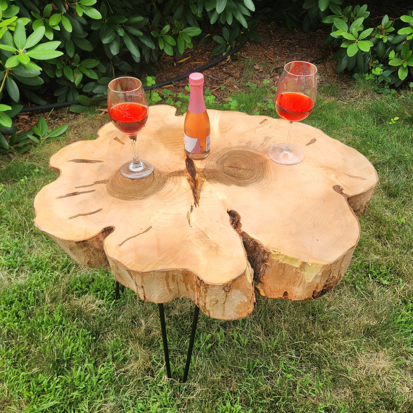 28"x24"x21" Live Edge Maple (Cookie)Table – 3" Thick | Black Hairpin Legs